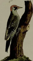 Picture 45 of 161 from (Band 3) (1798), leaf 84