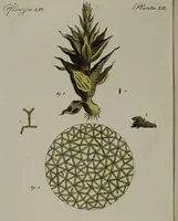 Picture 51 of 161 from (Band 3) (1798), leaf 93