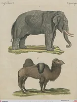 An illustration from (Band 1) (1801)