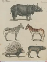 An illustration from (Band 1) (1801)