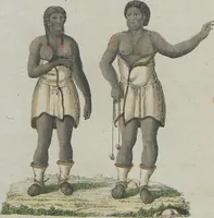 An illustration from (Band 1) (1801)
