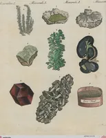 An illustration from (Band 1) (1801)