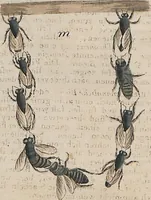 Picture 17 of 137 from (Band 1) (1801), leaf 54
