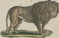 An illustration from (Band 1) (1801)