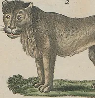 An illustration from (Band 1) (1801)