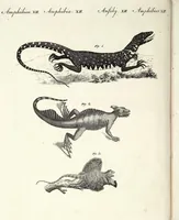 An illustration from (Band 4) (1802)