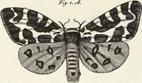 An illustration from (Band 4) (1802)