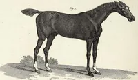 An illustration from (Band 4) (1802)