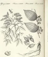An illustration from (Band 4) (1802)