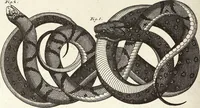 An illustration from (Band 4) (1802)