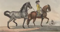An illustration from (Band 6) (1807)