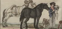 An illustration from (Band 6) (1807)