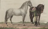 An illustration from (Band 6) (1807)