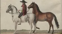 An illustration from (Band 6) (1807)