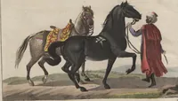 An illustration from (Band 6) (1807)
