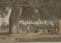 Picture 41 of 116 from (Band 6) (1807), leaf 177