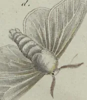 An illustration from (Band 6) (1807)