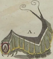 An illustration from (Band 6) (1807)