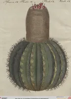 An illustration from (Band 6) (1807)
