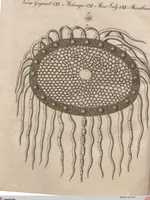An illustration from (Band 6) (1807)