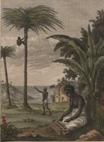 Picture 85 of 116 from (Band 6) (1807), leaf 405