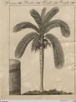 An illustration from (Band 6) (1807)
