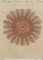 An illustration from (Band 6) (1807)