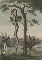 Picture 17 of 116 from (Band 6) (1807), leaf 69