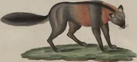 An illustration from (Band 7) (1810)