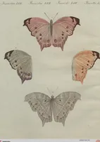 An illustration from (Band 7) (1810)