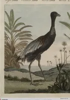 An illustration from (Band 7) (1810)