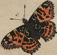 An illustration from (Band 7) (1810)