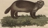 An illustration from (Band 7) (1810)
