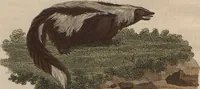 An illustration from (Band 7) (1810)