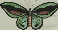 An illustration from (Band 7) (1810)