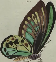 An illustration from (Band 7) (1810)