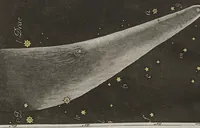 Picture 80 of 129 from (Band 7) (1810), leaf 236