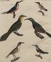 An illustration from (Band 7) (1810)