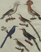 An illustration from (Band 7) (1810)