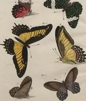 An illustration from (Band 7) (1810)