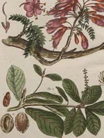 An illustration from (Band 7) (1810)