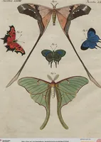 An illustration from (Band 7) (1810)
