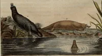 An illustration from (Band 8) (1813)