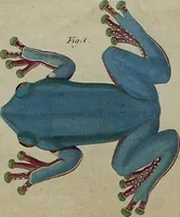 An illustration from (Band 8) (1813)