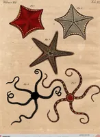 Picture 94 of 144 from (Band 8) (1813), leaf 180
