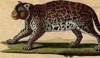 An illustration from (Band 8) (1813)
