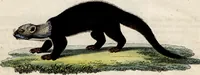 An illustration from (Band 8) (1813)