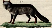 An illustration from (Band 8) (1813)