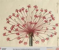 Picture 14 of 144 from (Band 8) (1813), leaf 27