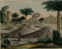 An illustration from (Band 8) (1813)